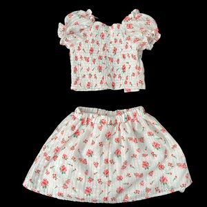 Rare Editions Girl Toddler 3T Set, Shirt and Skirt